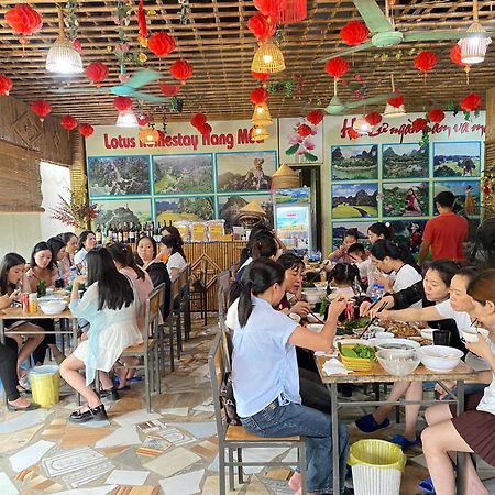 Hang Mua Lotus Homestay Ninh Binh Esterno foto