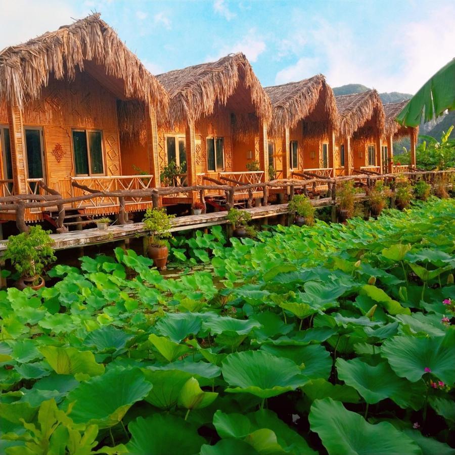 Hang Mua Lotus Homestay Ninh Binh Esterno foto